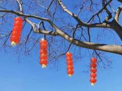 <b>1月17号进四九本年春节有雨？</b>