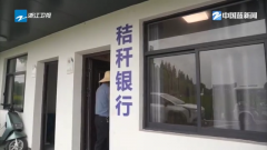 蓝察看丨“秸”尽所能变废为宝浙江摸索秸秆分