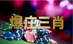 2024免费材料大全