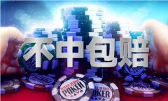平码平肖网坐体验服下载V