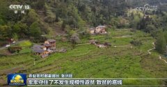 【开创高质量成长新场合排场】2024年农业农村经