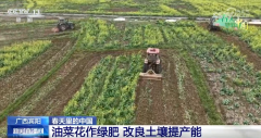 现代农机为保守农业注入新动能 万象“耕”新奏