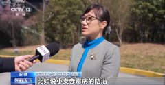 水肥“精准投喂” 全国各地用科技浇出冬小麦好